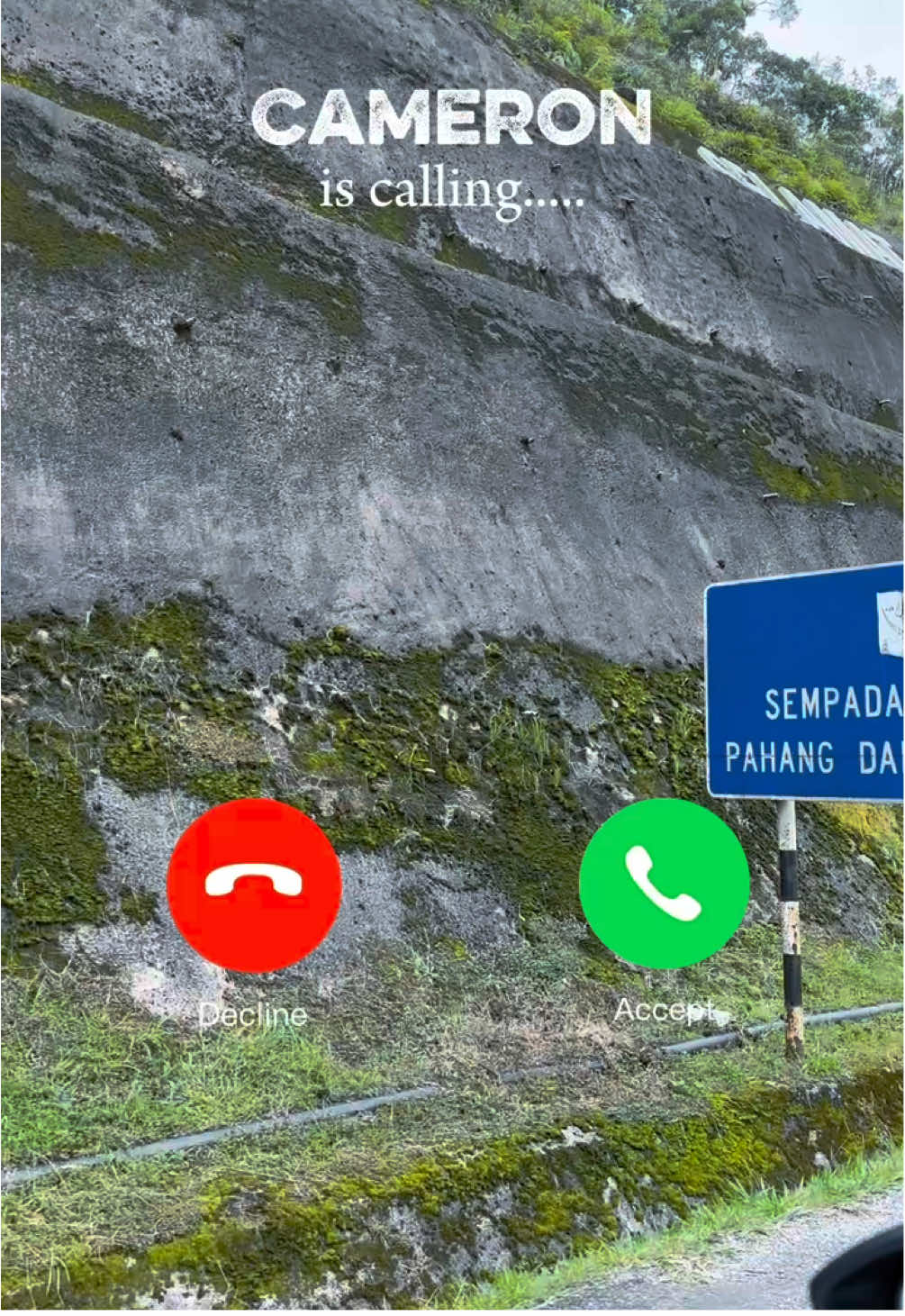 Hiking tak? ❌ View cantik? Check ✅  Makanan viral? Double check ✅ #cameronhighland #sconetersorok #qasehmanis #centrumcameron #fypmalaysia 