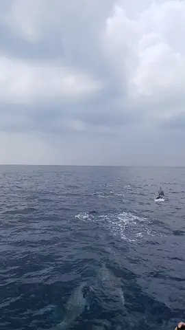 #📸🗿😎💣🥷 #