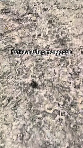 #ppa #putraperkasaabadi 