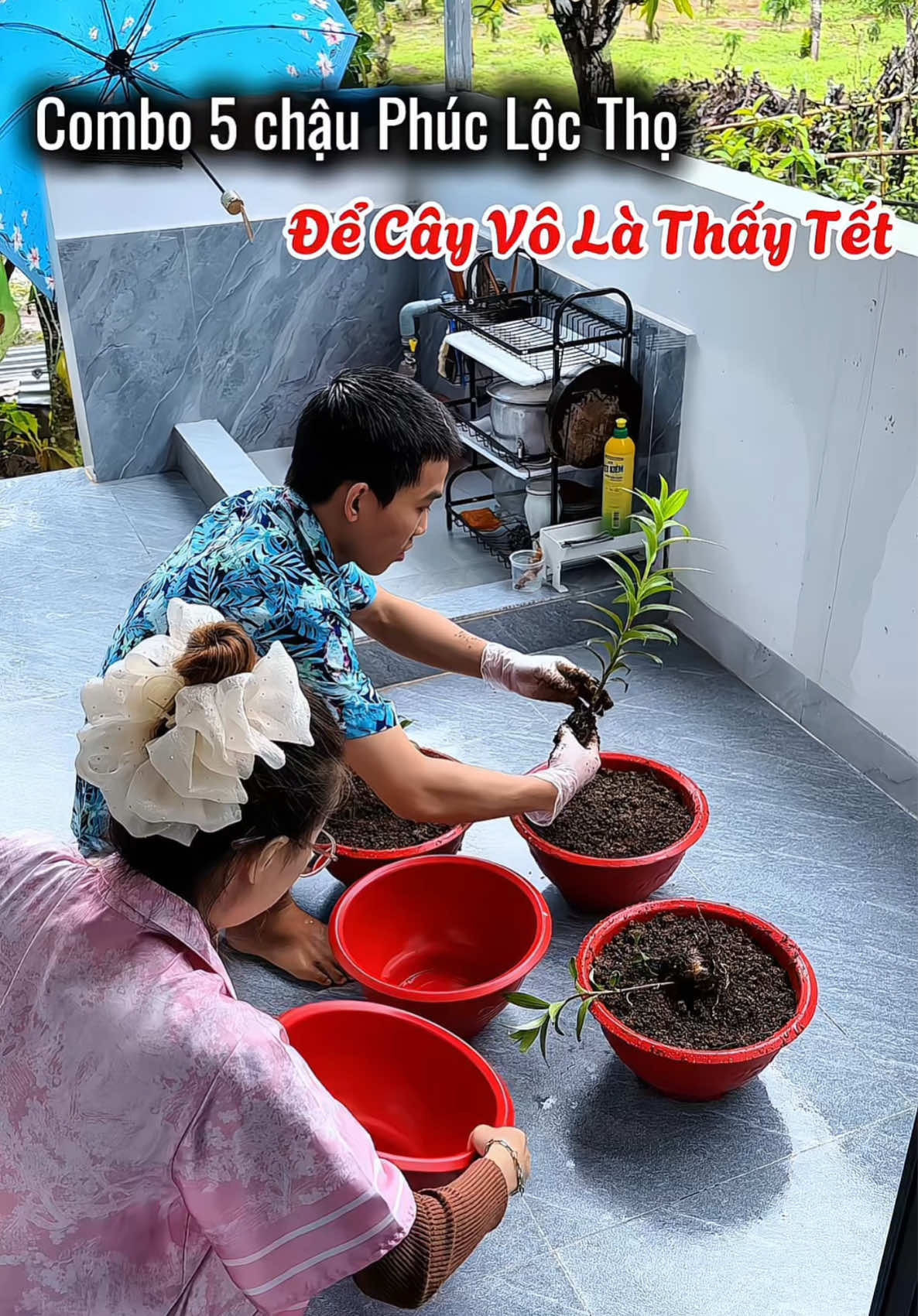 Bưng cây lên là b.ể chậu? Loại này bưng thoải mái không lo n.ứ.t 😉🤭 #xuhuong #thuỳ_mua_rồi_review #thuythichmuado #ttlktiktokshop #Combo_5_cái_chậu_nhựa_trồng_cây 