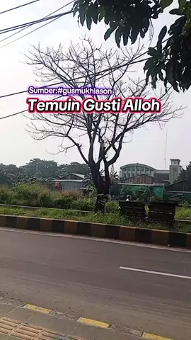 Ngopi Sek  #fypシ #gusmukhlasonrasyid #forklift #kolamikan 