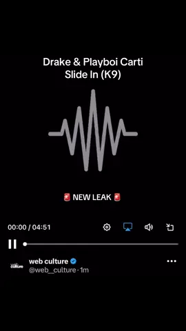 A new Drake & Playboi Carti leak has surfaced #drake #playboicarti #unreleased #fyp #iceman 