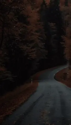 💔 #فارس_قطرية #fares_katarya   #شعر #مؤمن_عيد #حزن 