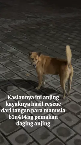 Kasian banget anak ini 🥲😭