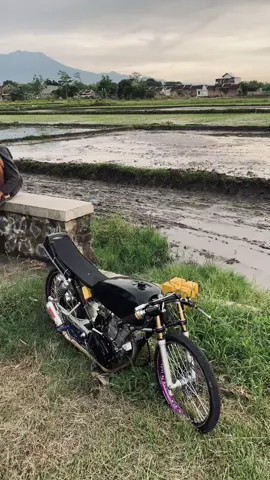 perempuan dan cinta#foryou #rangkarebah #dleseranstyle #herex1200m 