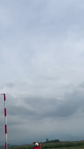 idola 🔥#kenwoodmerpati #merpatikolong #merpatilovers #fyppppppppppppppppppppppp 