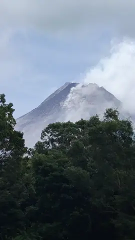 Merapi Siaga Siang Hari Luncurkan Material Vulkanik #festivalbudayalerengmerapi #merapiupdate #gunungmerapisiaga #lavatourmerapijogja #hadeginghargobinangun79 