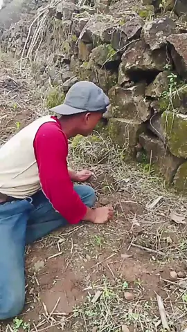 🙏Setidaknya saya sudah berusaha.🐝😫🏃😭 #fyp  #viral #trending #tiktok #viralvideo 