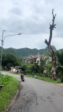 Siapa yg tiap lewat sini sholawat dalam hati #pelembungkal #bungkalponorogo #ponorogo24jam #pesonaponorogo #fyp 