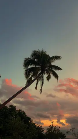 Satu pesan’mu hari ini >>