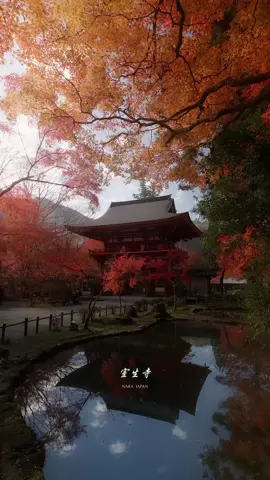 室生寺の紅葉が美しすぎた