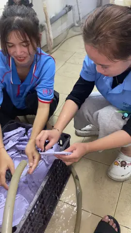 ngại hết cả Mỵ với cả Han😌😌😌