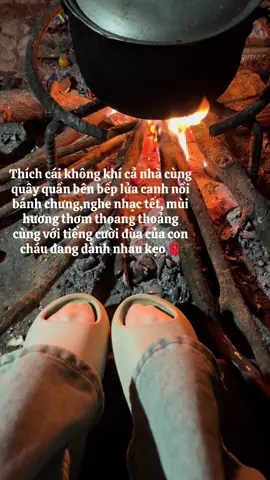 Thấy nôn tết 2026 hẳn 😽#xhhhhhhhhhhhhhhhhhhhhhhhhhhhhh #xuhuong #fyp 