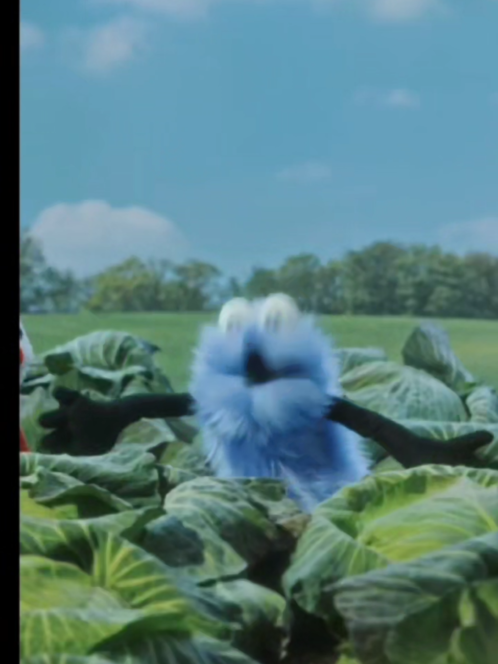 目覚まし専用スンスン めざましにどうぞ！ 起きるだけで誉められるメッセージ #目覚まし動画 #スンスン #wakeup #Behappy 