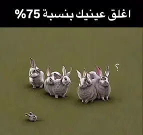 هههههه وقعت بالفخ😼