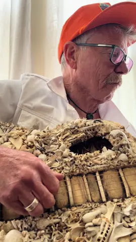 My good friend, Robin Murphy playing the Bone Guitar yesterday. Rob and I have written about 20 songs together and have played together in three bands - Crystal Zoom! - Good in Bed - and Let’s Get Naked. The bone guitar was made by luthier, David Goldbeard and myself in 2015.#bone guitar#slideguitar #guitarplayer #dunedinmuseumofnaturalmystery #dunedinnz 