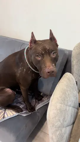 Какие доказательства?