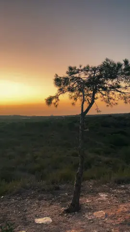 #تونس🇹🇳 #ليبيا #الجزائر 