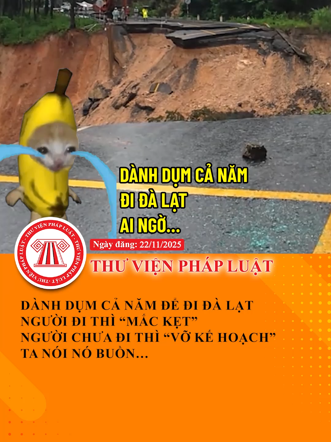 Dành dụm cả năm để đi Đà Lạt Người đi thì mắc kẹt, người chưa đi thì vỡ kế hoạch, ta nói nó buồn... #TVPL #ThuVienPhapLuat #LearnOnTikTok #Hoccungtiktok