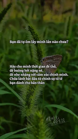 Dịu dàng với người khác thì dễ, nhưng dịu dàng với chính mình mới khó. #annhien #binhyen #quotes #healing #tichcuc 