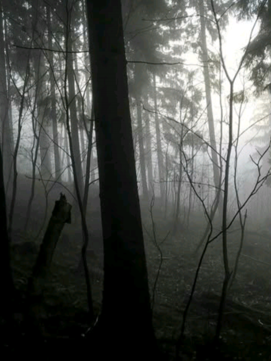 يــمـه مـخـنــوق الــهوى #باسم_الكربلائي #واقعة_الطف #يوم_عاشوراء #الحسين_عليه_السلام #السيدة_زينب 