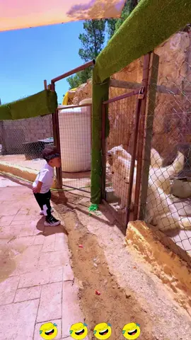 Best funny moments 😂😂😂 #funny #funnyvideos #prank #fyp #fails