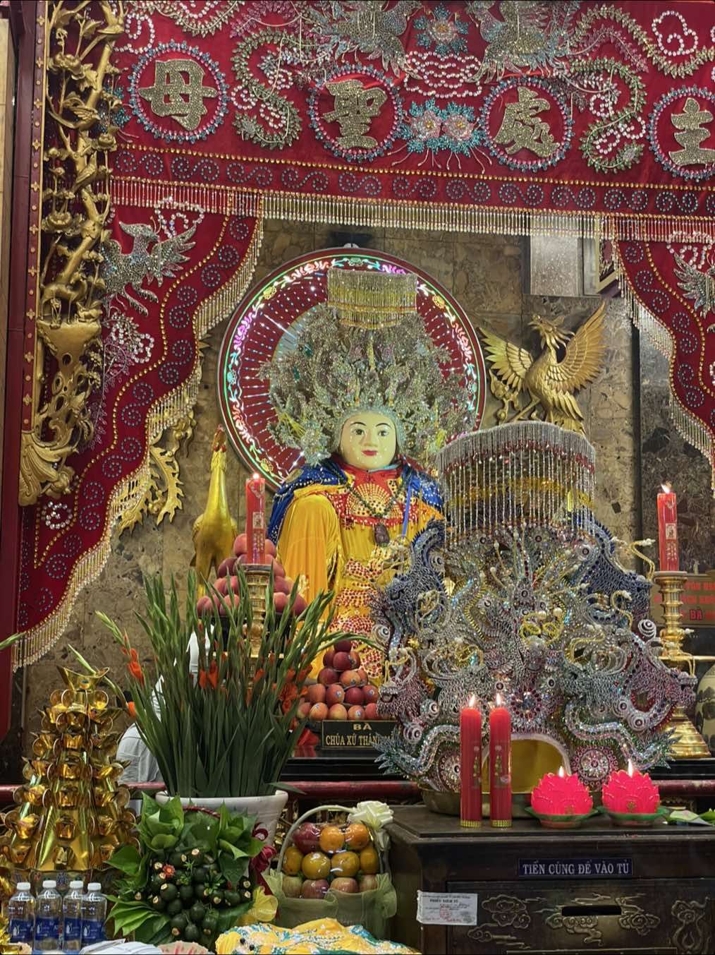 Cảm ơn anh chị khách quen ( văn nhiều 2 ) #đồcúngbàchâuđốcvănnhiều #đồcúngbàchâuđốcvănnhiều #thuviencuapepper #xuhuong #thinhhanhtiktok 