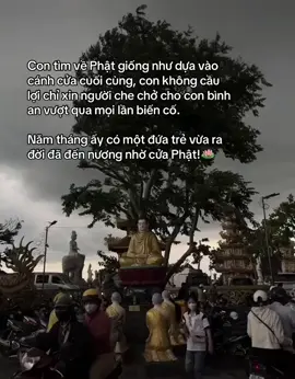 Con tìm về Phật giống như dựa vào cánh cửa cuối cùng, con không cầu lợi chỉ xin người che chở cho con bình an vượt qua mọi lần biến cố. Năm tháng ấy có một đứa trẻ vừa ra đời đã đến nương nhờ cửa Phật!🌱 nguồn coppy nguồn vdeo: @Đỗ Ngọc Mẫn 🇻🇳  #phatphapnhiemmau #xuhuong 