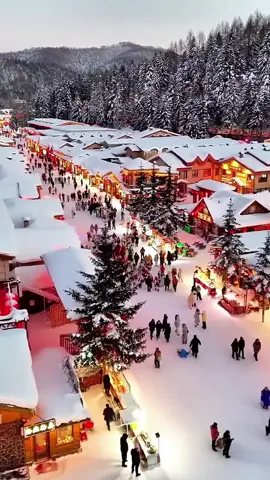 #LễHộiTrượtTuyết #中国雪乡 #capnhitan #xuhuong 