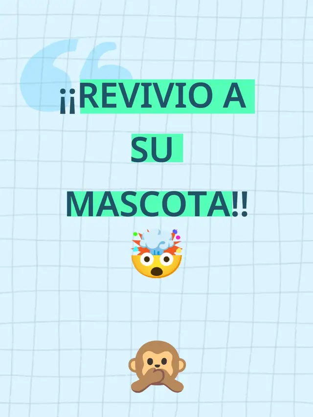 Esta historia de Tom Brady es realmente extraña😮 #fyp #viralvideos #viral #text 