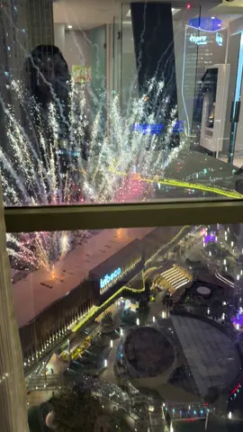 Central Park Mall front row views of Firework #traveling #travelvlog #fyp 