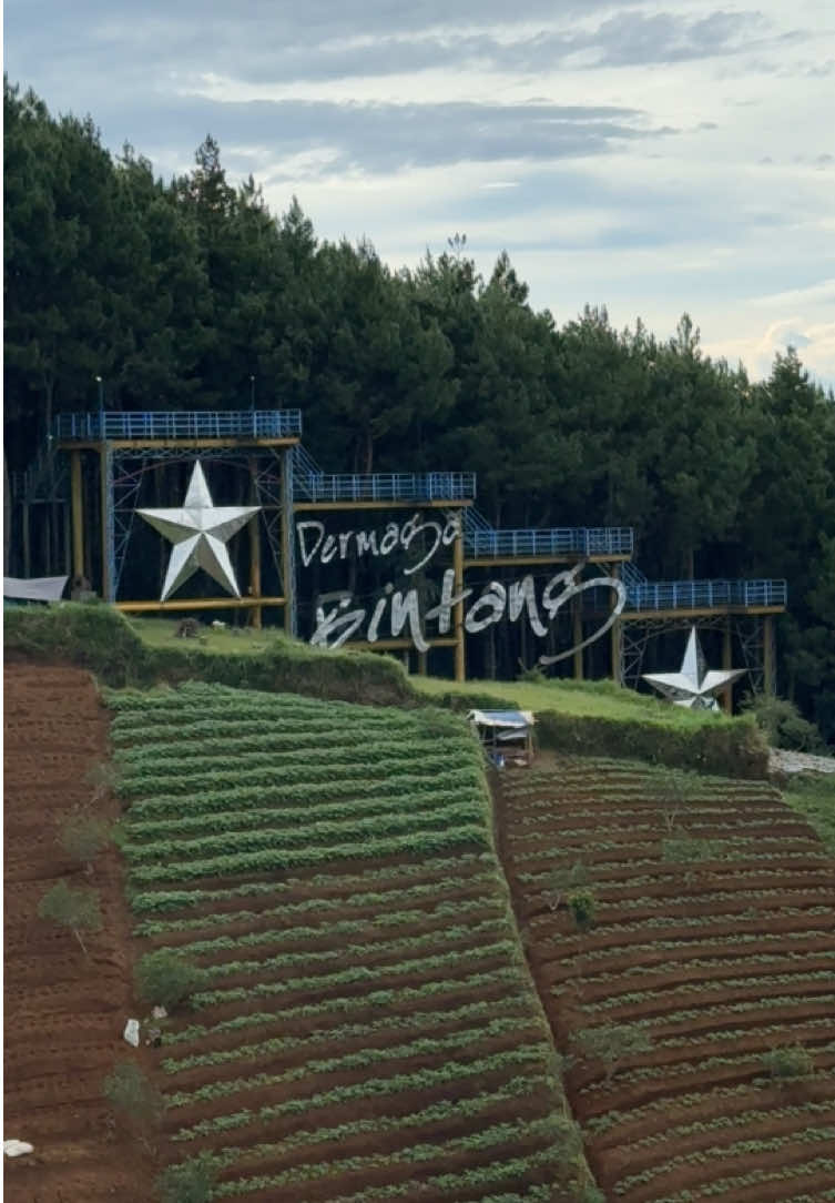 Bukit moko dengan sejuta keindahan 😍 begitu indah cityview kota bandung. #cartil #bandung #xyzbca #fyp #trending 