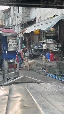 the best friend ever❤️#viral #dog #doglovers #fyp #bestfriend 