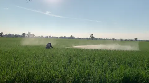 มีให้เดินก็ดีแค่ไหน#ดันทุรังทีม🤫 #นครสวรรค์ #แค่ไม่ลืมก็ปลื้มแล้ว 😂🤣