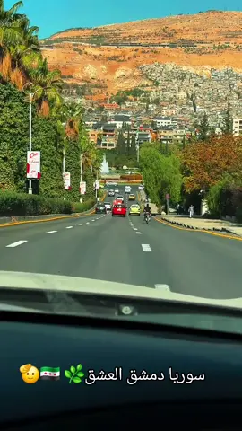 #سوريا🇸🇾💚 #دمشق🇸🇾😍 #الشام #حماه_حلب_ادلب_الاذقيه_الشام 