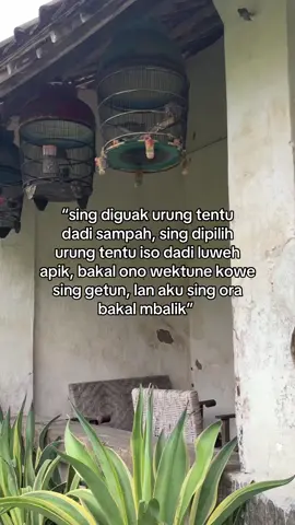 #jowostory #storywa #jowopride #fyppppppppppppppppppppppp #tulungagung 