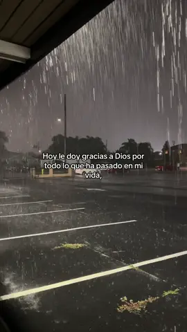 Hoy decido ser feliz. Pase lo que pase #reflexiones 