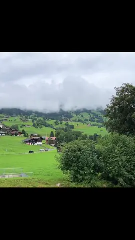 #switzerland🇨🇭 #🇨🇭🇨🇭🇨🇭 #🇨🇭🇨🇭🇨🇭🇨🇭🇨🇭🇨🇭👍switzerland 