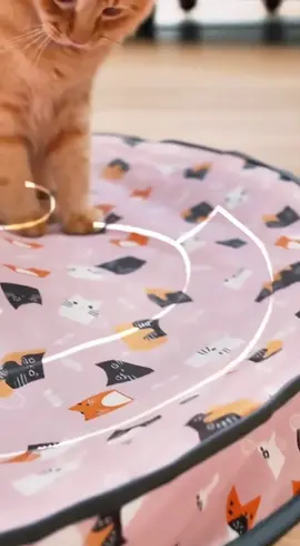 🐾🎉 Keep your feline friend entertained for hours with the Cat Interactive Toy! This hidden & seeking game mat features a moving ball that’s bound to get your kitty’s paws moving. Perfect for kick-play, chasing, and stimulating their natural instincts, it’ll bring endless fun and excitement to your cat’s day. 🐱💖 Watch them play, pounce, and love it! #CatToys #FelineFun #InteractivePlay #TikTokShopBlackFriday#TikTokShopCyberMonday