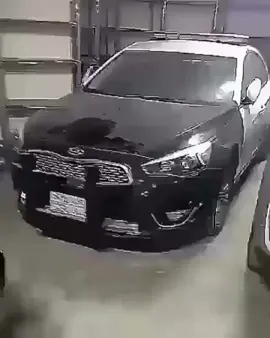 #ارشيف#كادينزا#fyppppppppppppppppppppppp 