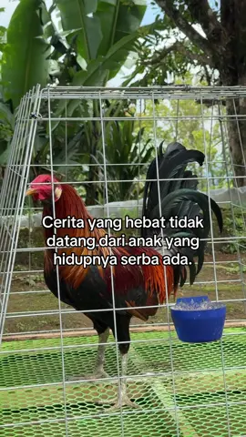 Bisma yang agung ☝🏻 Pmgfbali 