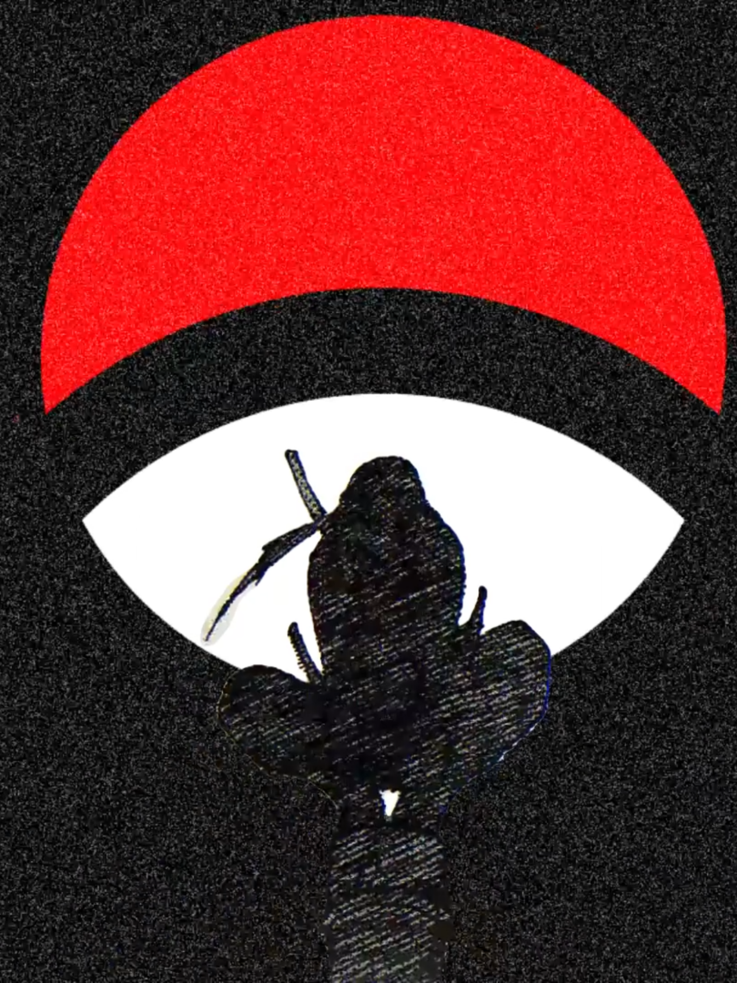 Kinda filler but trust me one more time fr ||#animeedit #anime #amv #edit #fyp #headshot #naruto #narutoedit #narutoshippuden #itachi #itachiedit #kakashi