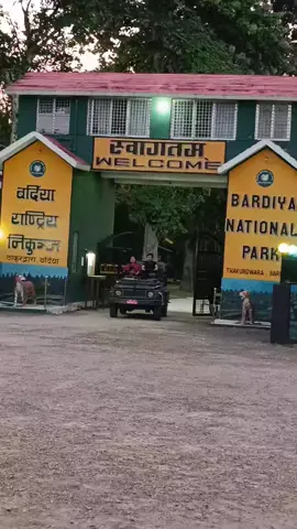 Heaven of Nepal Bardiya Bardiya .Bardiya National Park Nepal #bardiyanationalpark #junglesafari #viral #जङ्गल #jeep @Naresh chy(photographer BNP) @Deepakkusma2055 @LOW KEN🪐 @बिबश राना मगर @Shiva shah🕉 @Wildlife With बिबश R.M @B Bek Rana @Bhumika Pun @pokhara tours and travel 🙏✌️ 