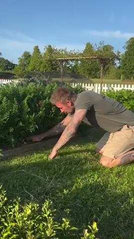 เดวิดแบ็คแฮ็ม#CapCut #ฟีดดด #ฟีดดดシ #นักฟุตบอล #เดวิดแบคแฮม 