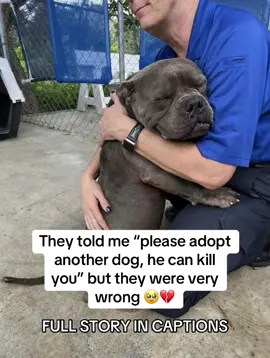 “THEY TOLD ME HE WAS TOO DANGEROUS TO TAKE HOME.” And the worst part is… he wasn’t dangerous at all. Just terrified. I met him at the shelter a few weeks ago—shaking, bruised, pressed into the corner of his kennel. My sweet boy wouldn’t even lift his head. He just sat there, frozen, as if waiting for the world to hurt him again. The staff told me: 👉 “He’s aggressive. Traumatized. Maybe not adoptable.” Aggressive? He’s the kind of dog who flinched when someone dropped a pen. My heart broke. They didn’t see fear—they saw danger. But when I sat down on the floor and whispered to him… he crawled into my lap and buried his face in my shirt. That’s when I knew he wasn’t dangerous. He was desperate for love. I took him home anyway. And step by step, week by week, he fought his way back to being the dog he always wanted to be. WEEK 1 ✔ Slept through the night without trembling ✔ Swelling and old wounds started to calm down ✔ Let me touch his back without flinching WEEK 2 ✔ Less fear in his eyes ✔ More energy and curiosity ✔ Started following me from room to room WEEK 3 ✔ Fur growing back where trauma scars were ✔ Wound site cleaner, healthier ✔ He played—actually played—with a toy WEEK 4 ✔ Moving confidently around the house ✔ Brighter eyes, stronger posture ✔ He ran—full speed—tail wagging like he finally belonged I asked my brother, “How did he recover this well?” He said: 👉 “It’s the Taily Collagen. It supports healing and joints, and helps their body repair stronger.” Now he’s here beside me—safe, gentle, and proving everyone wrong. He wasn’t dangerous. He wasn’t broken. He just needed someone who didn’t give up on him. And now… he finally gets to be happy. For real. For good. #dogsoftiktok #dogmom #dog #dogshelter #doglove 