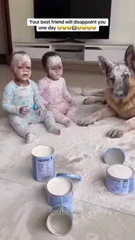 Your best friend 😂😂#fypシ゚ #official_vikex 