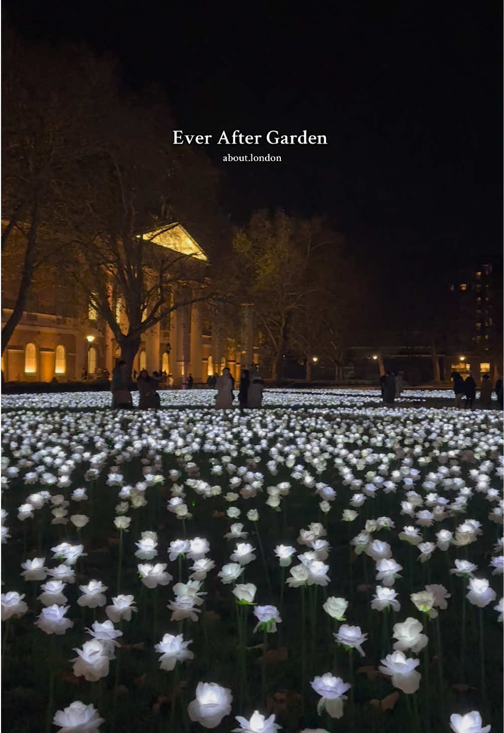 The Ever After Garden has returned, filling Duke of York Square with 30,000 illuminated white roses. Each rose is dedicated in memory of someone loved, and all donations support The Royal Marsden Cancer Charity 🌹#remembering #london #thingstodoinlondon #fyp @Ever After Garden @King's Road | London 🇬🇧 