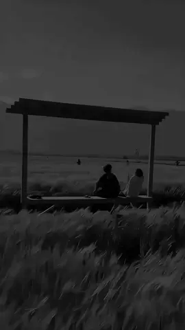 #الجنوبي للشعر الشعبي #شعراء_وذواقين_الشعر_الشعبي🎸 #سميرصبيح #الشعب_الصيني_ماله_حل😂😂 #البصره_شط_العرب @مصطفى سليمانية 