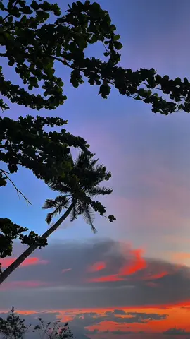 Pesan-pesan kalian hari ini >>