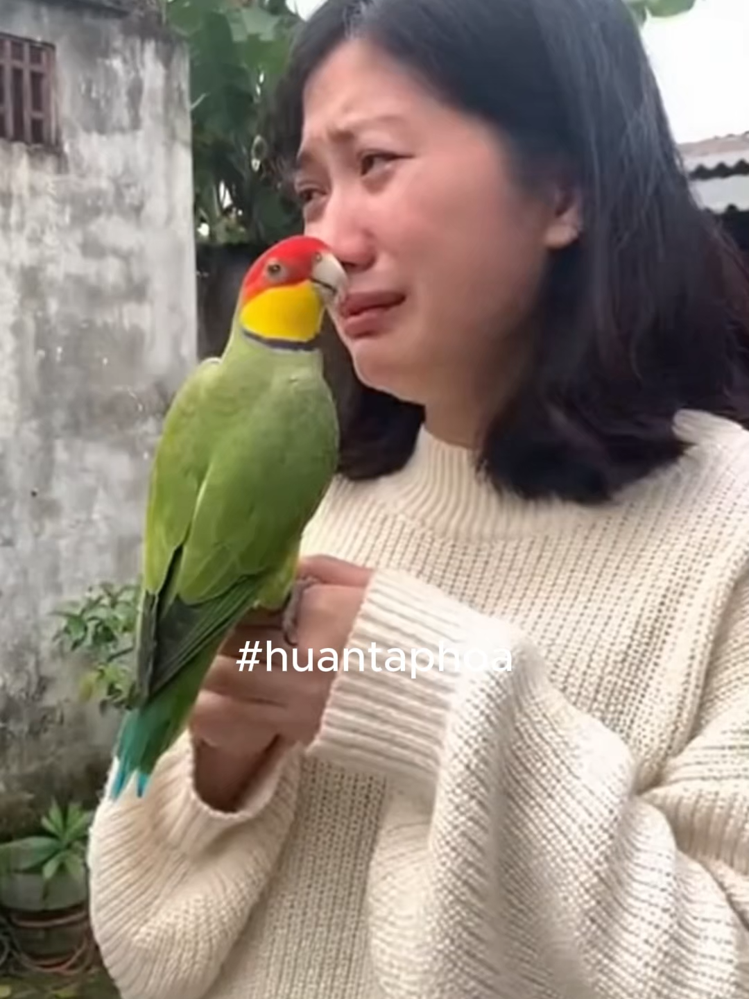 Người yêu cũ thôi chứ có gì mà phải khóc #huantaphoa